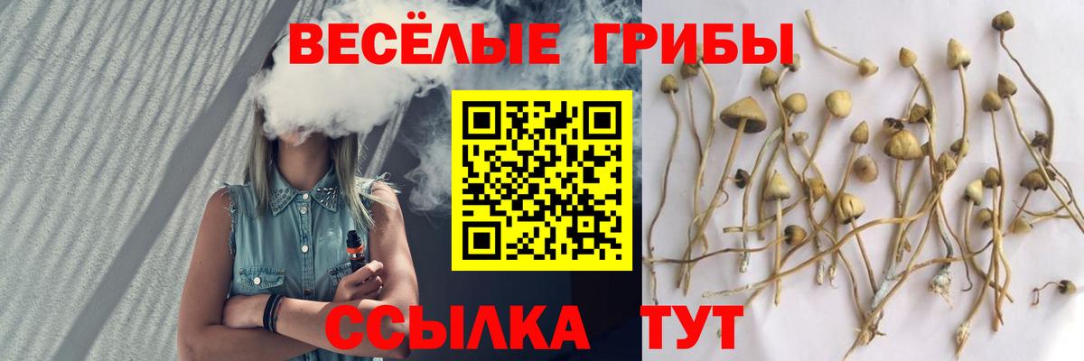Галлюциногенные грибы мицелий  Вход с VPN  Ртищево 